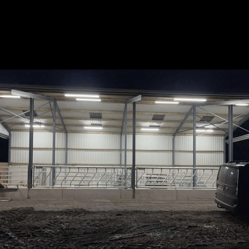 Lighting electrician in Kildare for farms